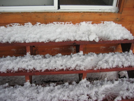 steps after hail.JPG